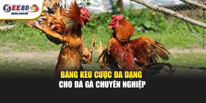 Bảng kèo cược đa dạng cho đá gà chuyên nghiệp Bảng kèo cược đa dạng cho đá gà chuyên nghiệp