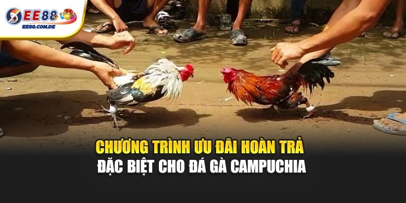 Chương trình ưu đãi hoàn trả đặc biệt cho đá gà Campuchia