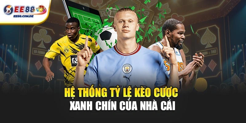 Hệ thống tỷ lệ kèo cược xanh chín của nhà cái