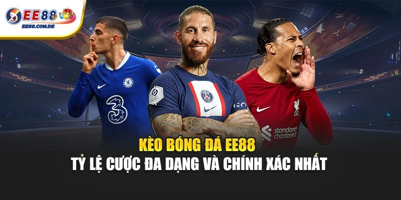 Bảng kèo bóng đá EE88 giúp theo dõi tỷ lệ chính xác