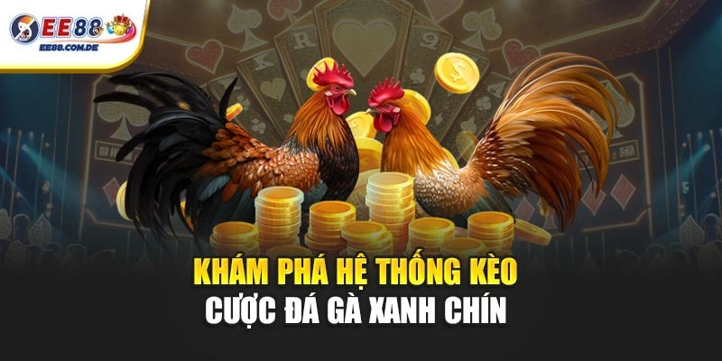 Khám phá hệ thống kèo cược đá gà xanh chín 