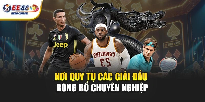 Sảnh thể thao EE88 quy tụ các giải bóng rổ nổi bật